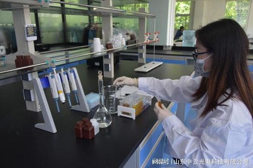 食品重金属含量检测仪器设备与计算机房维护服务的协同应用